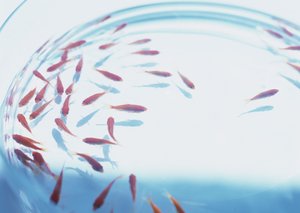 语义搜索数据安全和隐私保护